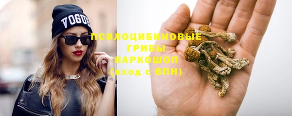 прущий лед Надым