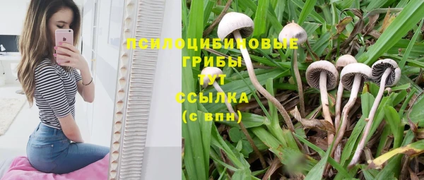 прущий лед Надым