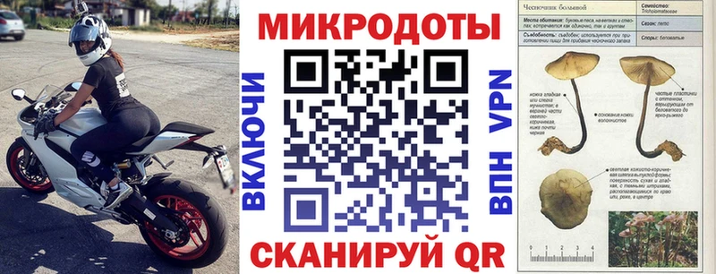 Купить где  Правдинск  Галлюциногенные грибы ЛСД 
